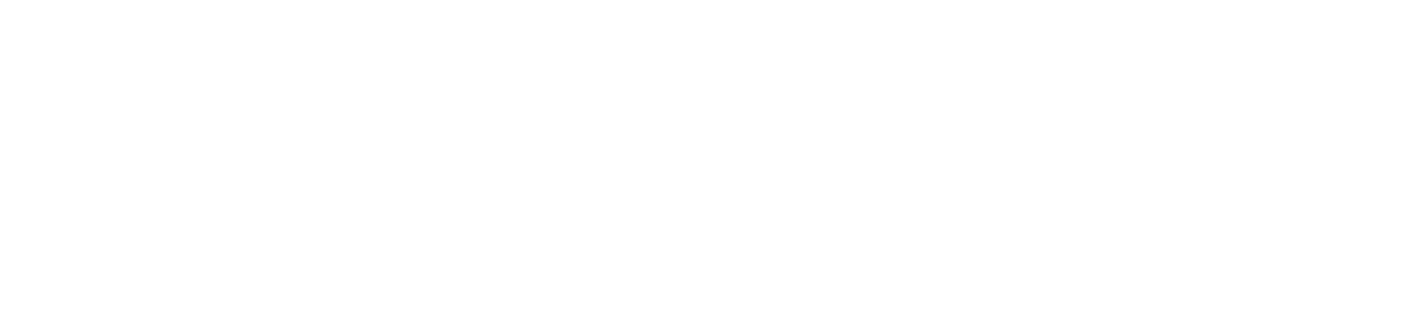 FLYINGDATA (HONG KONG) INDUSTRIAL LIMITED